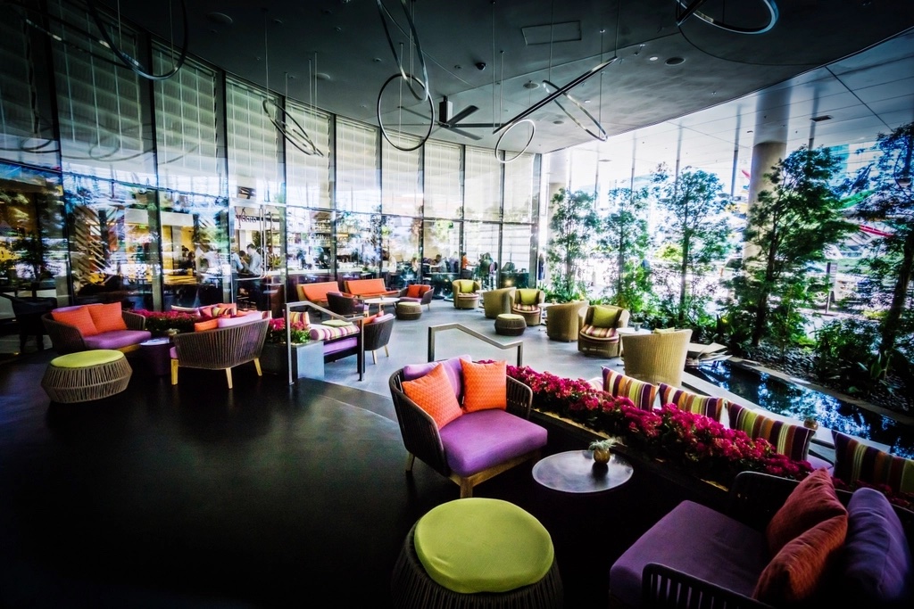 Salón con sillones de colores y plantas